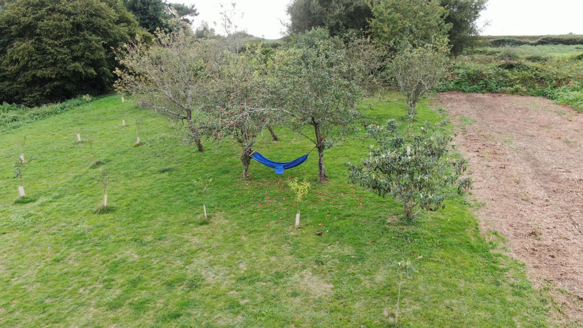 A Casa Da Balbina Villa Betanzos Buitenkant foto